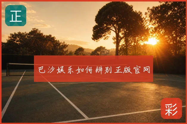 巴沙娱乐如何辨别正版官网